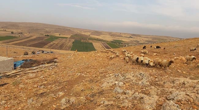 Polateli Mağaracık Köyü Halkı Kum Ocağı İstemiyor
