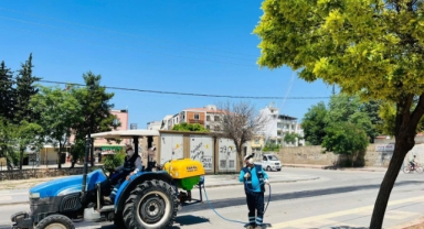 Haşere ve Sineklere Karşı İlaçlama Çalışmaları Devam Ediyor