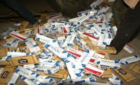 19 Bin Paket Kaçak Sigara Yakalandı