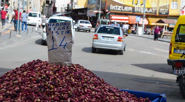 Antep Fıstığı Tekrar Bollaştı