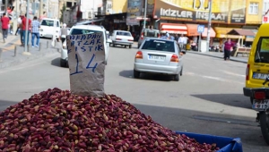 Antep Fıstığı Tekrar Bollaştı