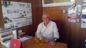Avrupa’da Zeytin ve Zeytinyağı Rekoltesinde Düşüş