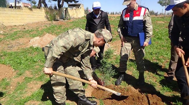 Kilis Sınırında Fidan Dikimi Yapıldı