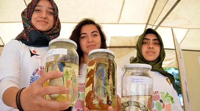 Kilis'te TÜBİTAK Bilim Fuarı Düzenlendi