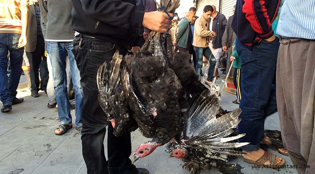 Kilis'te Hindiler Pazara İndi
