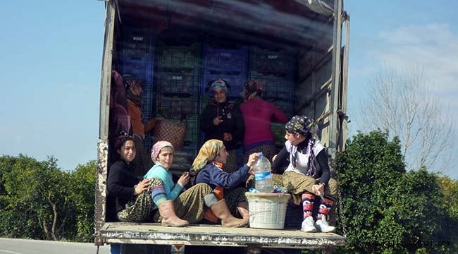 Türk Halkı İş Değiştirmeyi Sevmiyor