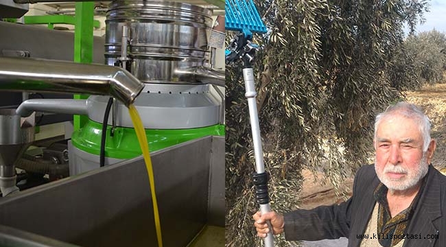 Kilis'te Zeytin Bekleneni Vermedi