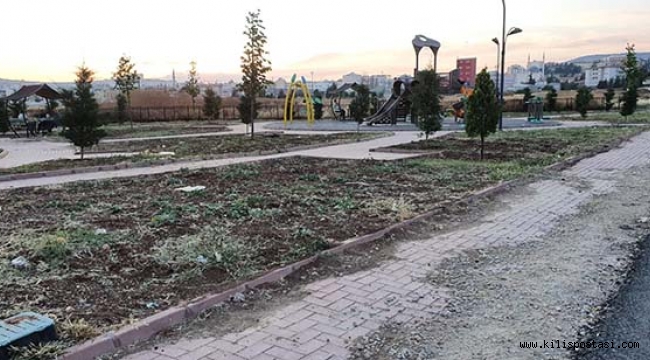 Parklar Neden Bu Kadar Bakımsız!