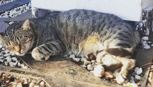 Hareketsizlik neler kaybettirir?