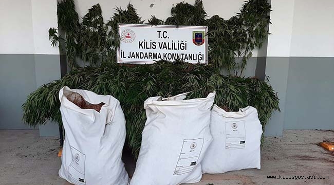Kilis'te Uyuşturucu Operasyonu