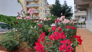 Teşrik Tekbirleri ne zaman okunur