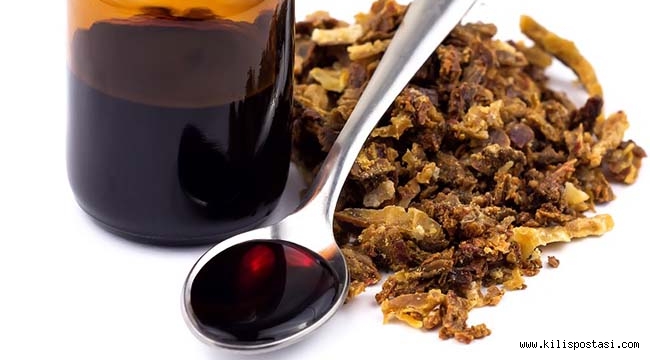 Doğadan Gelen Enfeksiyon Savarlar Bal ve Propolis