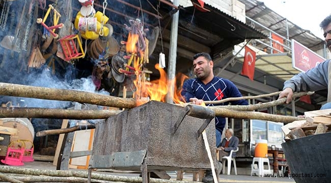 Zeytin Hasadında Halen Sırıklar Kullanılıyor