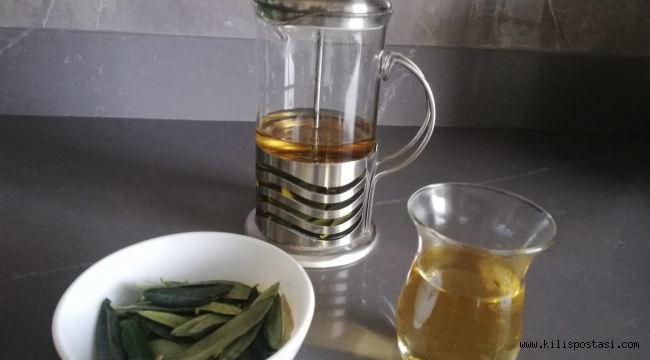 Zeytin yaprağı mucizesi