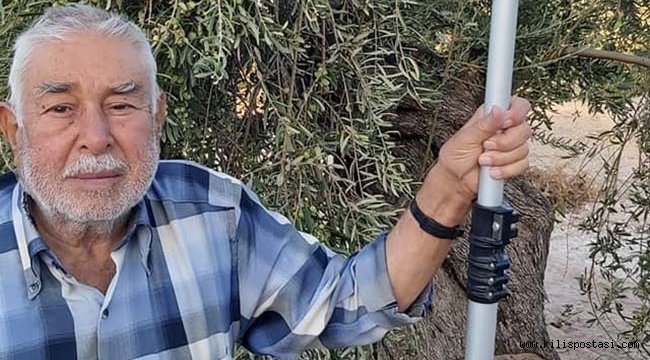 Kilis'te Zeytinyağı Rekoltesi