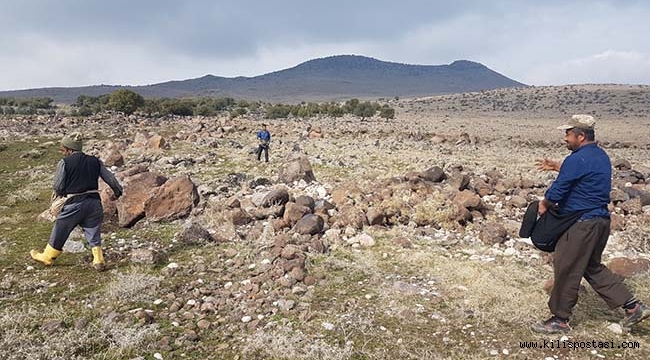Kilis Meraları Gübrelendi