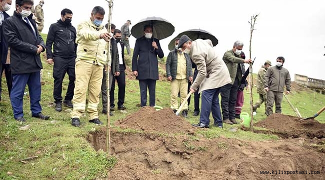 Ormancılık Gününde Fidan Dikildi