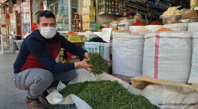 Kilis'te Taze Kekik Bollaştı Ama Fiyatı Aynı Kaldı
