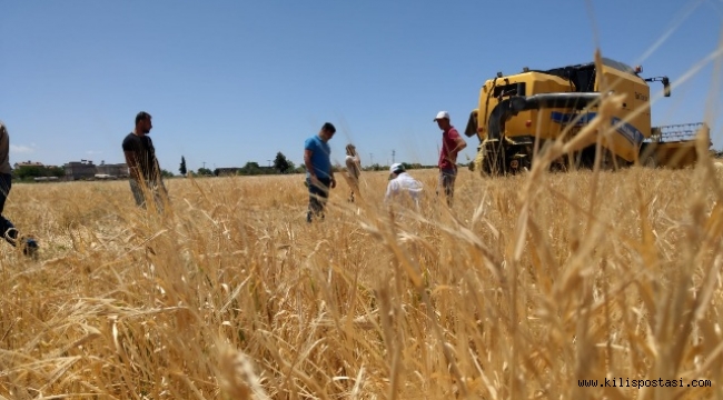 Kilis'te 2021 Hasat Sezonu Arpa Hasadıyla Başladı