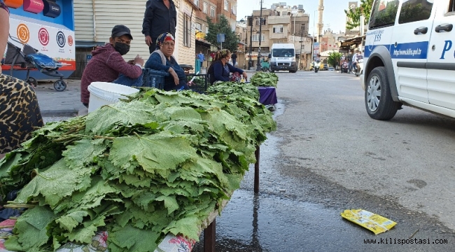 Kilis'te Yaprak Satışları Başladı