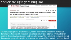 Kanser gelişimi ile ilgili yeni bulgular 