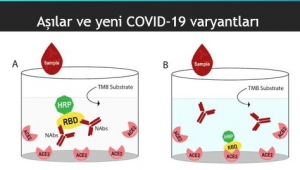 Aşılar COVID-19 varyantlarından koruyor mu? 