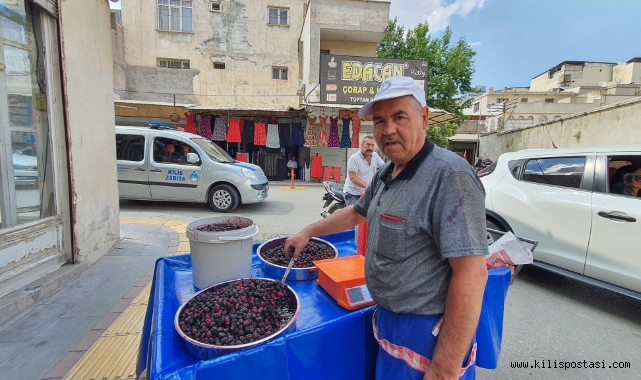 Şamı Dut Bu Yıl 50 TL!
