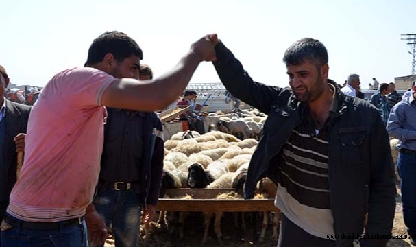 Kurban fiyatları el yakıyor