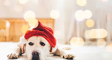 Tatil Sonrası Depresyon