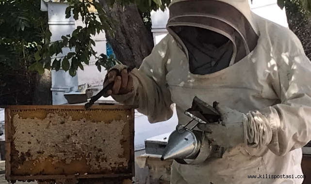 Bal ormanı ile kalite ve verim 10 kat arttı