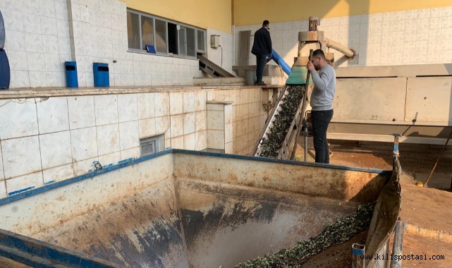 Üniversite Öğrencileri Zeytinyağı Fabrikasını Gezdiler