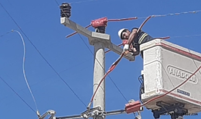 Elektrik Hatlarının Yalıtılması ile Kuşların Hayatları Kuırtarılıyor