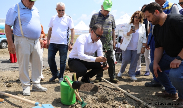 Silivri'de 5.100 Adet Yağlık Zeytin Fidanı Toprakla Buluştu