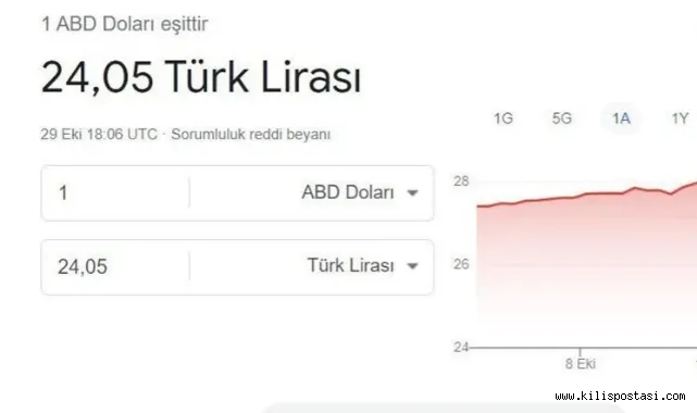 Dünyaca Ünlü Arama Motorundan Dolar Hatası!