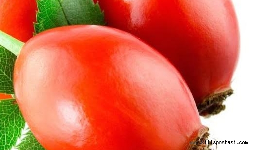 KIŞ AYININ VAZGEÇİLMEZ SAĞLIK DEPOSU:KUŞBURNU