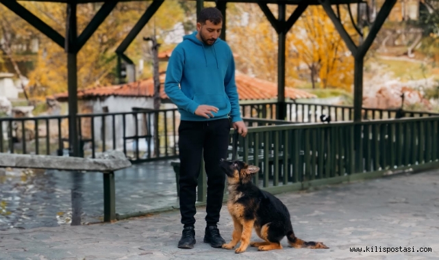 Köpeğinizi Anlamak İster Misiniz?