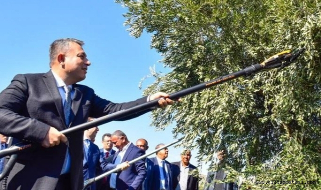 Zeytinde İlk Hasat Yapıldı!