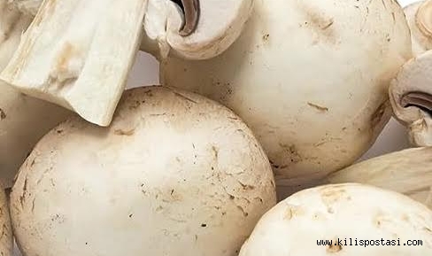Mantarın Faydaları Nelerdir?