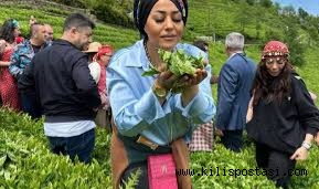 ÜNLÜ ŞEF ESRA TOKELLİ’DEN YAZ İÇİN ÖZEL DETOX TARİFİ GELDİ