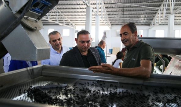 Belediye Başkanı Hakan Bilecen’den Üzüm Üreticilerine Destek!