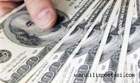 Temmuz 2024'te Dolar ve Euro Kaybettirdi
