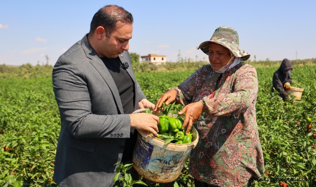 Kilis Belediyesi’nden Kırsal Kalkınma Destekleri!