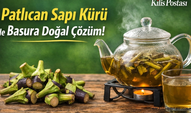 Bundan Sonra Patlıcan Saplarını Atmıyoruz! İşte Halk Arasında Basur İçin Uygulanan Doğal Kür