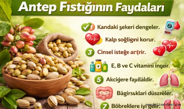 Antep Fıstığı ve Sağlığa Faydaları