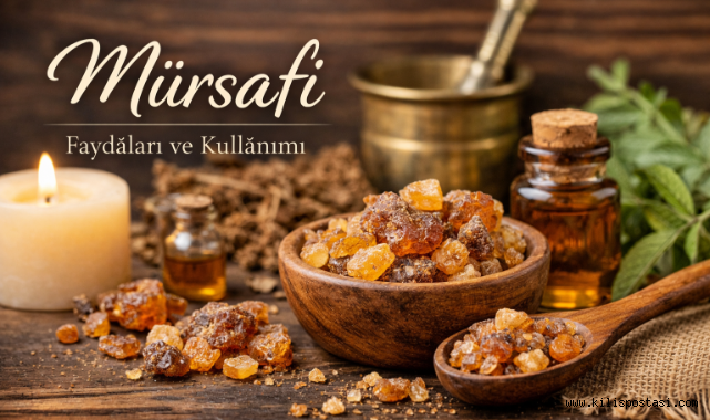 Doğal Şifa Kaynağı Mürsafi Nedir? Faydaları ve Kullanım Alanları