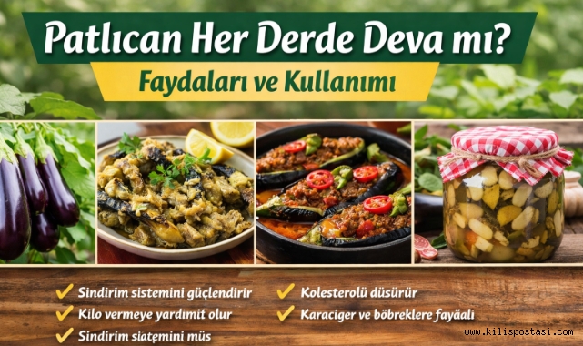 Patlıcan Nedir?