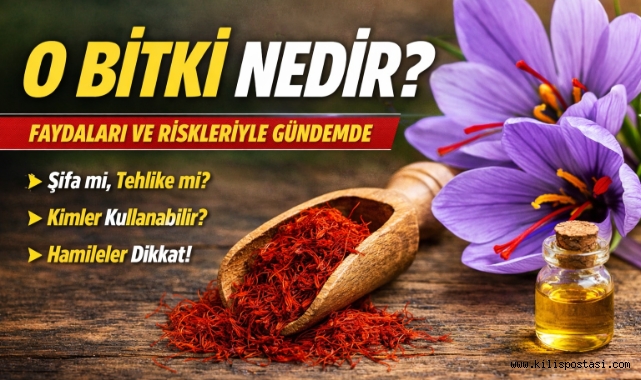 Safran Nedir ?