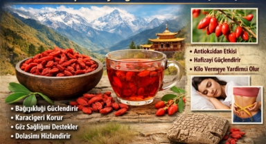 6000 Yıllık Şifa Kaynağı: Kurt Üzümü (Goji Berry) Yeniden Gündemde