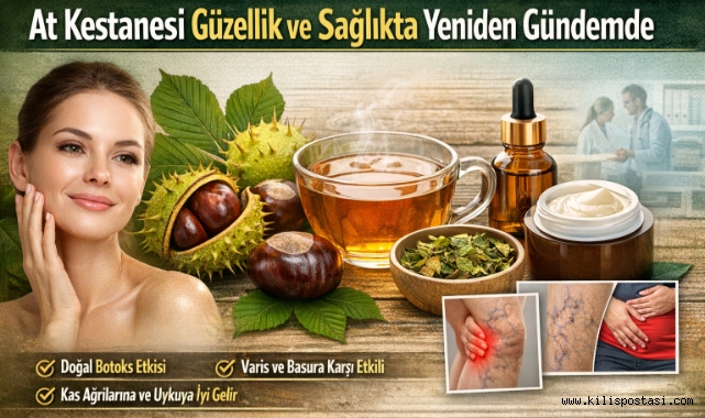 At Kestanesi Güzellik ve Sağlıkta Yeniden Gündemde