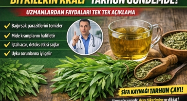 Bitkilerin Kralı” Tarhun Gündemde! Uzmanlar Faydalarını Tek Tek Açıkladı